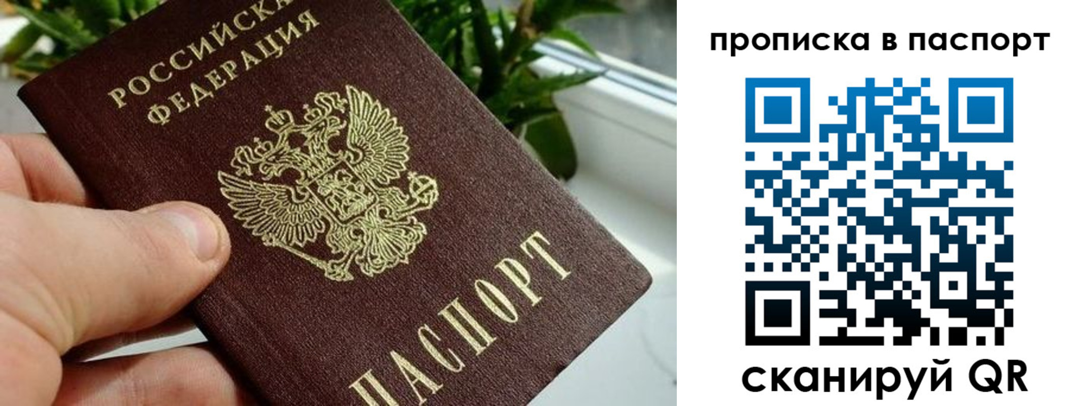 временная регистрация купить в Невельске